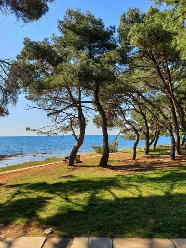 Family Bungalow Pineta