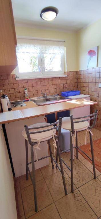 Discover the magic of nature