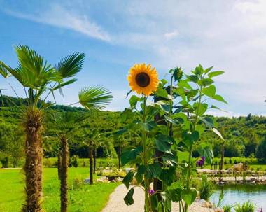 Private Village Resort- Adults only