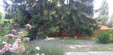 Damjanich Home close to the lake