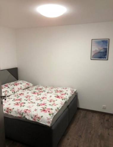 Tőzike apartman