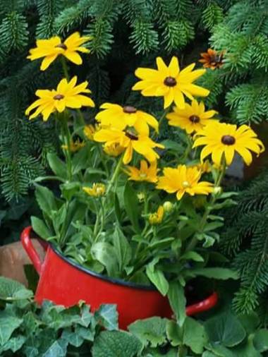 Fónagy és Walter Vendég- és Borház