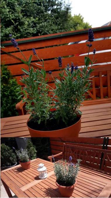 Idill Üdülőház 2