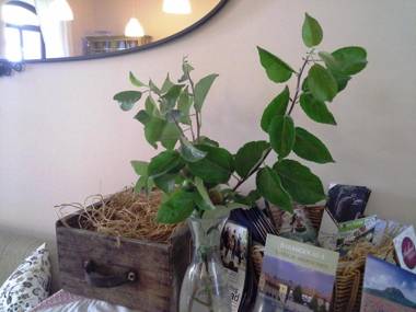 Malom-tó Vendégház Tapolca