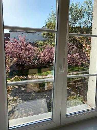 Négy évszak Apartman- Tapolca