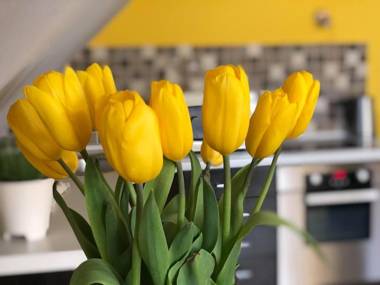 Tulipán Villa Panzió