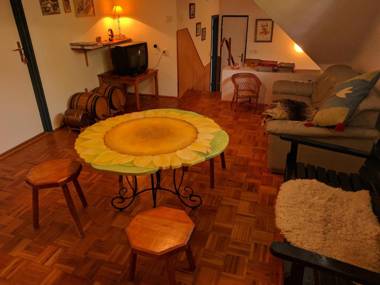 Guest house Magyar Route 66