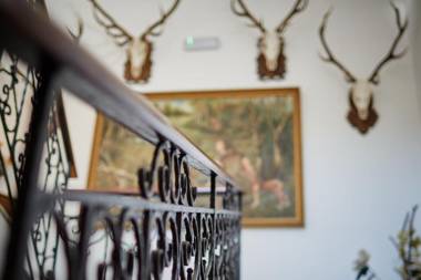 Tercia Hubertus Panzió