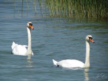 Club 218 Wellness Stúdió