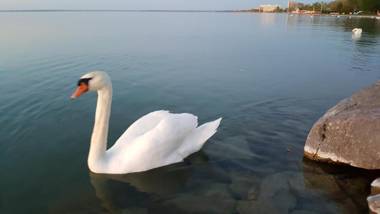 Sweet&Center Wellness apartman