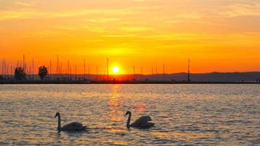 ATANA Luxury Apartments