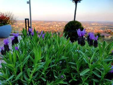 Bagoly Wellness Apartman