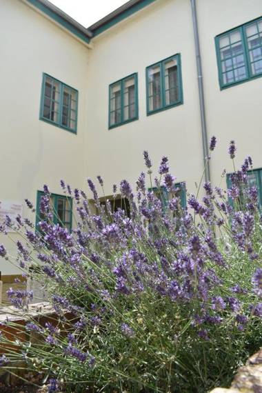 Zsolnay Negyed Vendégháza