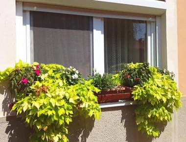 Domboldal Vendégház