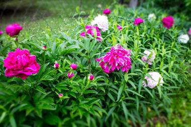 Vadgalamb Apartman & Jacuzzi