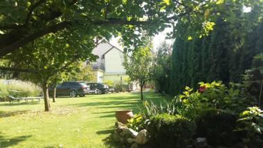 Violetta Vendégház