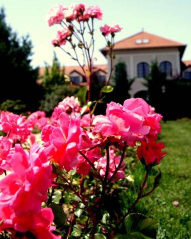 Bodrogi Kúria Wellness Hotel