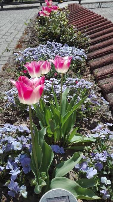 Annamaria Apartmenthouse