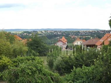 Hévízi fecskefészek