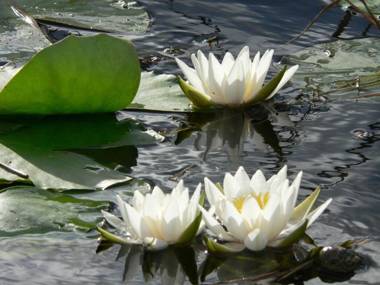 City Time Apartments