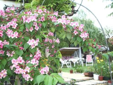 Apartmanház Gabriella