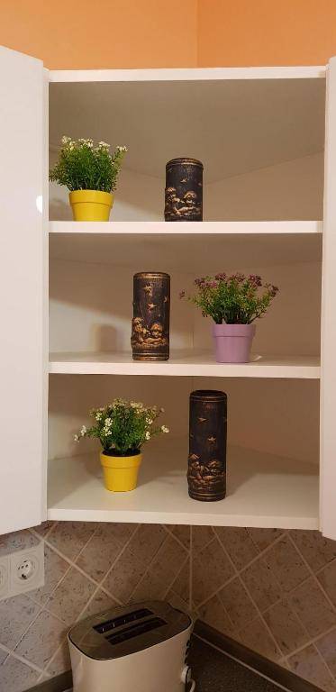 Family Wellness Apartman