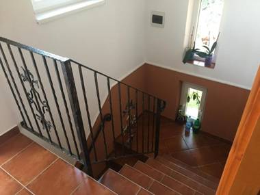 Transilvania Apartman