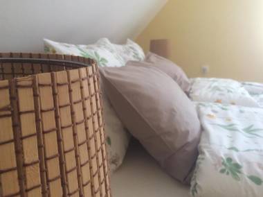 Rooms for Rent near Budapest