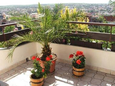 Ferienhaus Apartmanház Zalánki