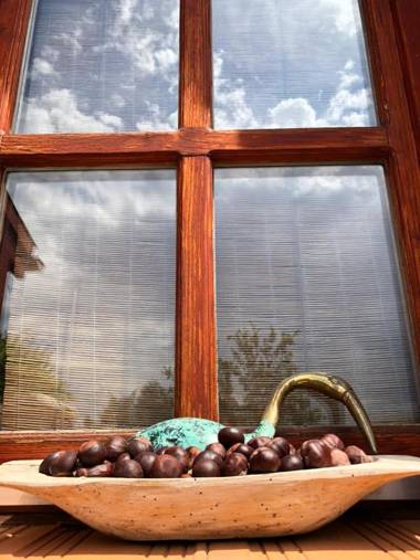 Janicsár Garden Apartman