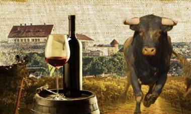 Borostyán Vendégház Eger