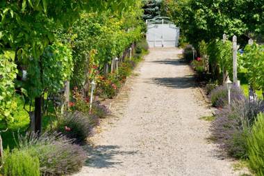 Manor House Inn Csopak