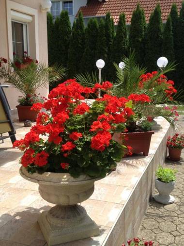 Majláth Vendégház