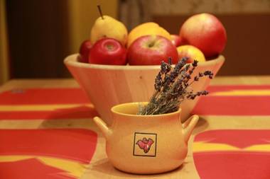 Raday Central Apartment