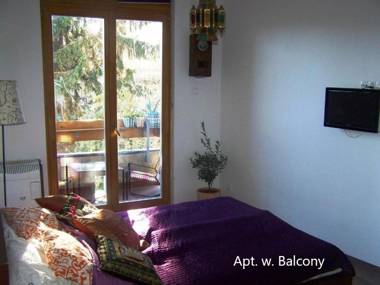 Cozy studio at the Castle