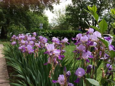 Írisz Apartman Budapest