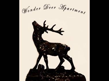 Wonder Deer Luxury Aptartment at the Parliament contactless check-in