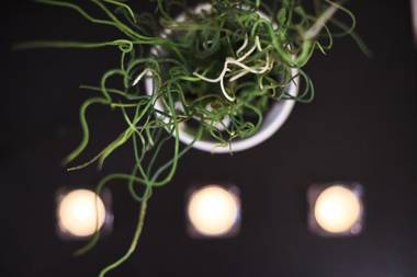 Flat at Lövölde Square