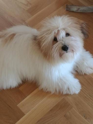 Paprika Apartment Grand