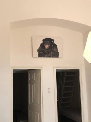 The Urban Jungle by Gozsdu