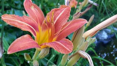 Farkas Piroska Vendégház