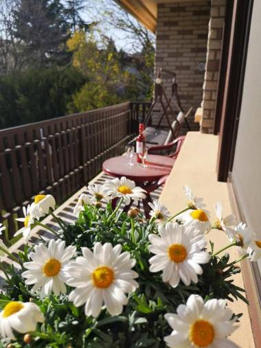 Balaton Panzió Füred