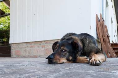 Kislaki Bormanufaktúra Vendégháza (Fő u.44.)