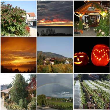 Bacchus Apartman - Borbarlang Badacsony