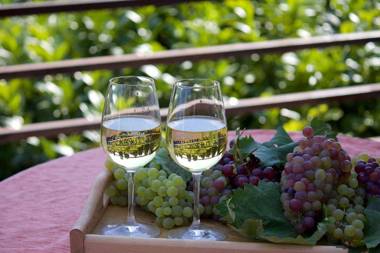 Panoráma Vendégház