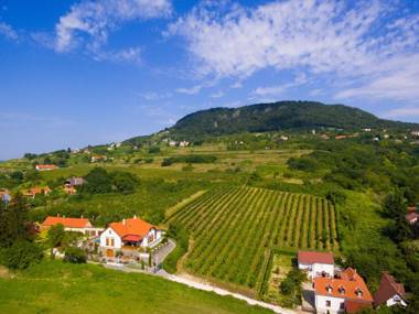 Badacsony Villa Ria