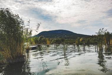 Csónakos ház / The boat house