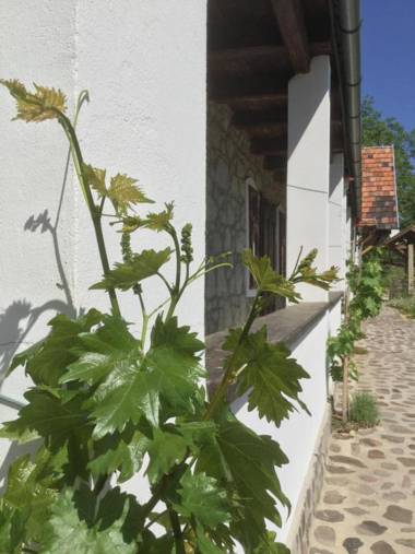 Vitamin B63 Vendégház