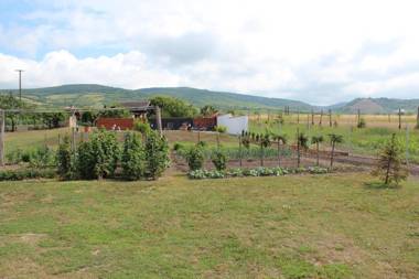 Pillangó Vendégház