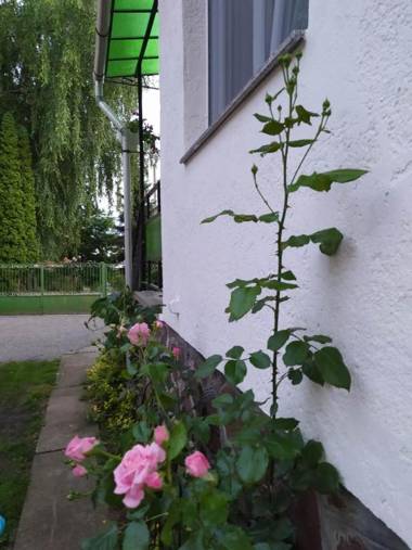 Eperkert Vendégház